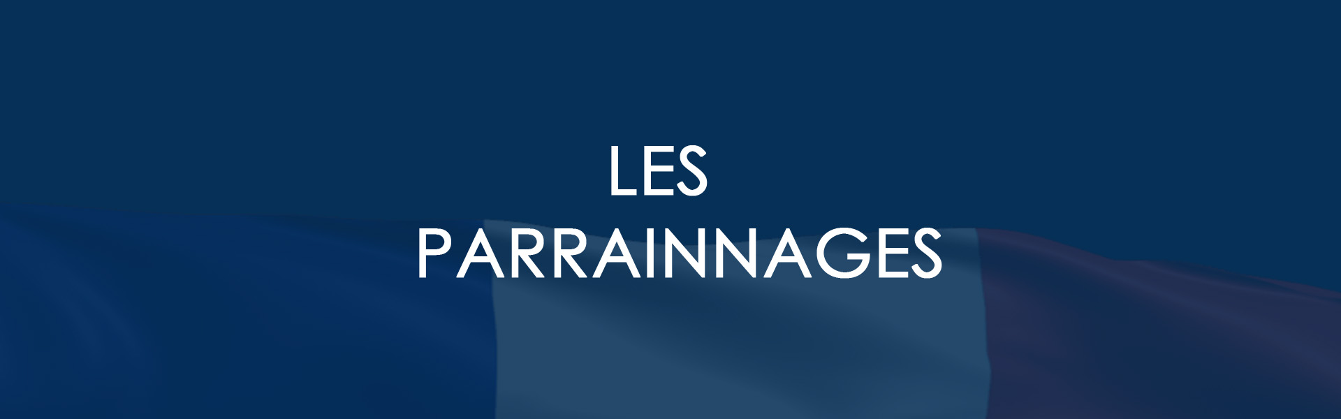 Wallpaper16_parrainnages